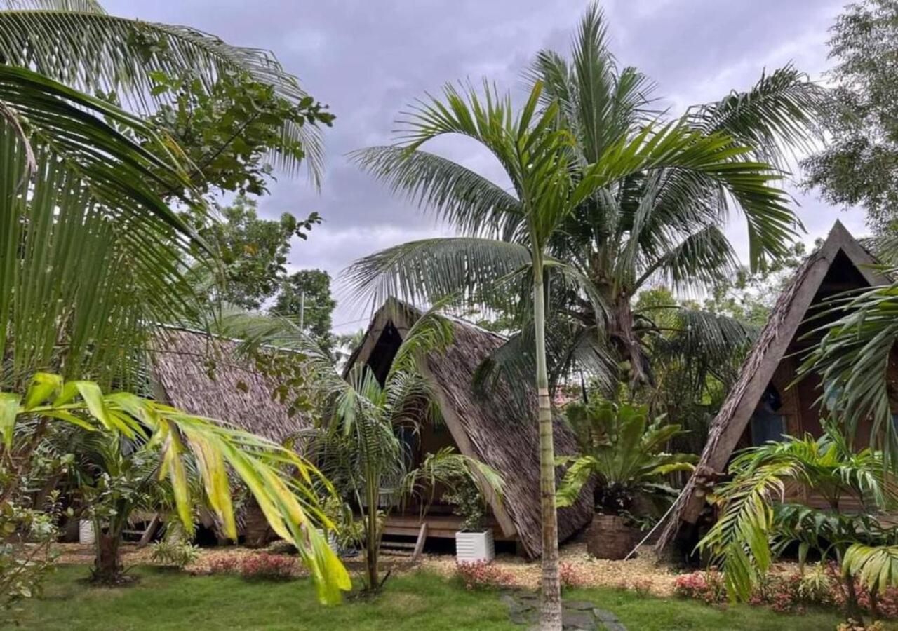 Bohol Island Homestay Dauis Buitenkant foto