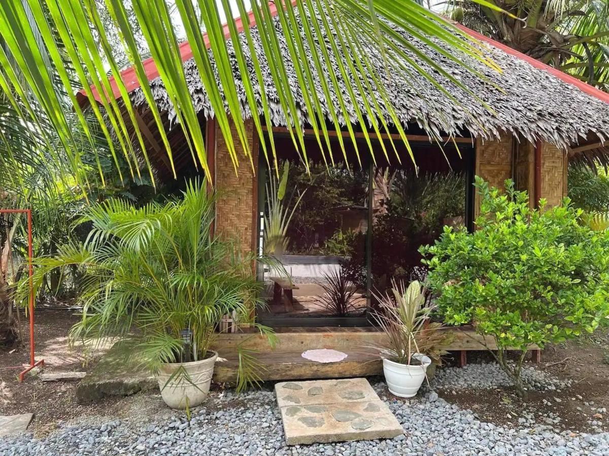 Bohol Island Homestay Dauis Buitenkant foto