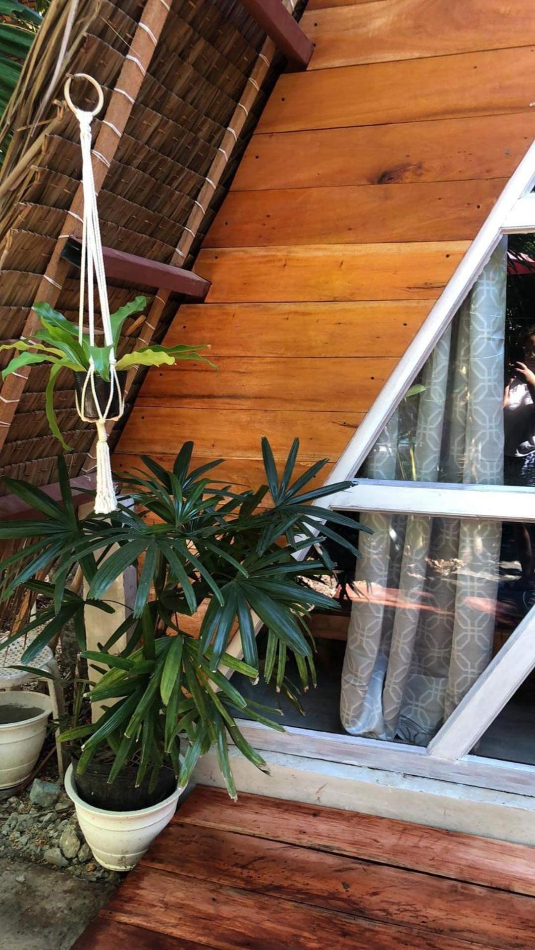 Bohol Island Homestay Dauis Buitenkant foto