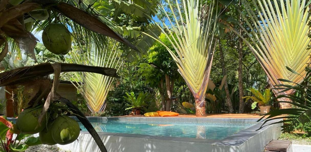 Bohol Island Homestay Dauis Buitenkant foto