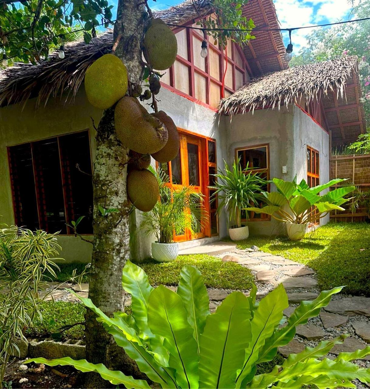Bohol Island Homestay Dauis Buitenkant foto