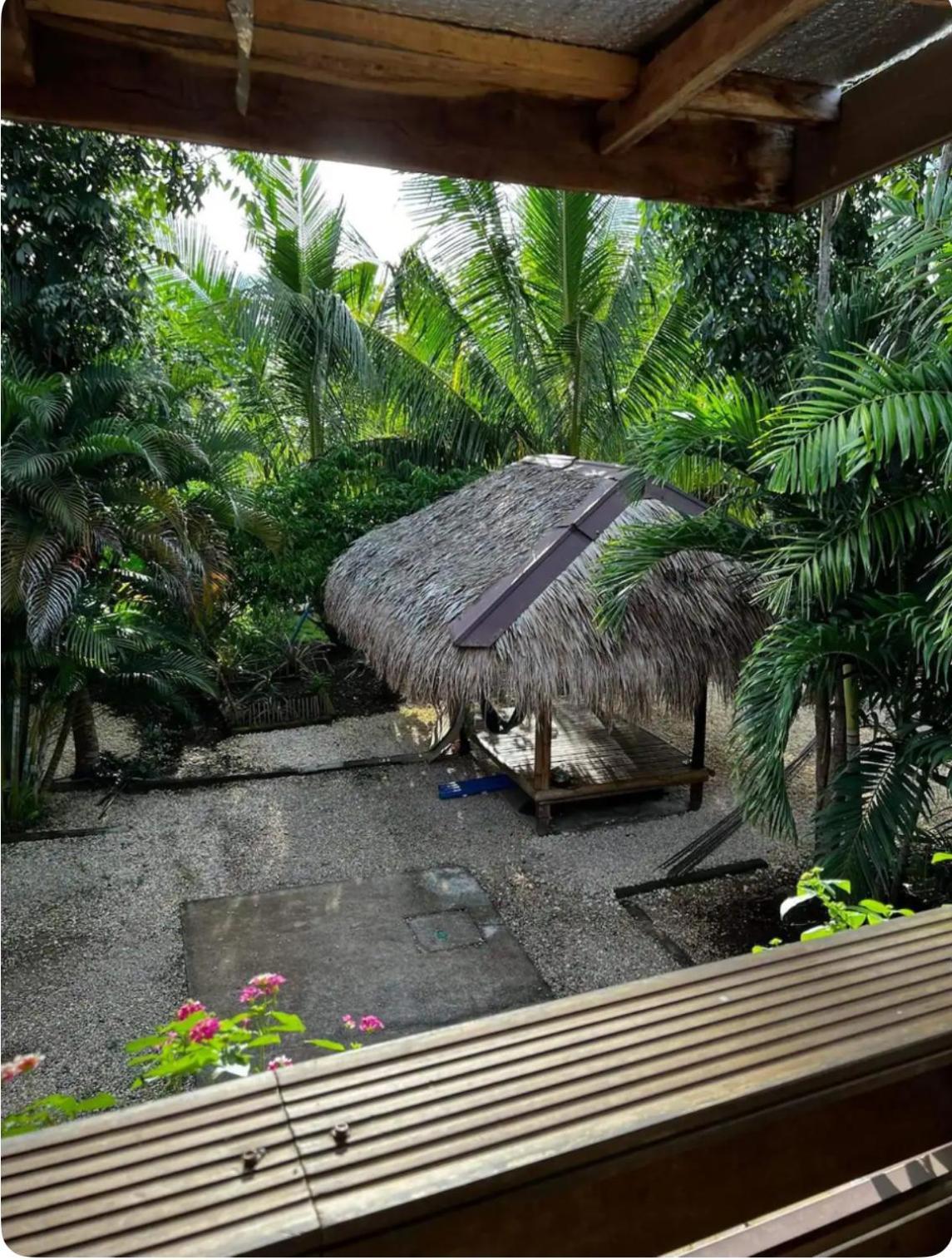 Bohol Island Homestay Dauis Buitenkant foto