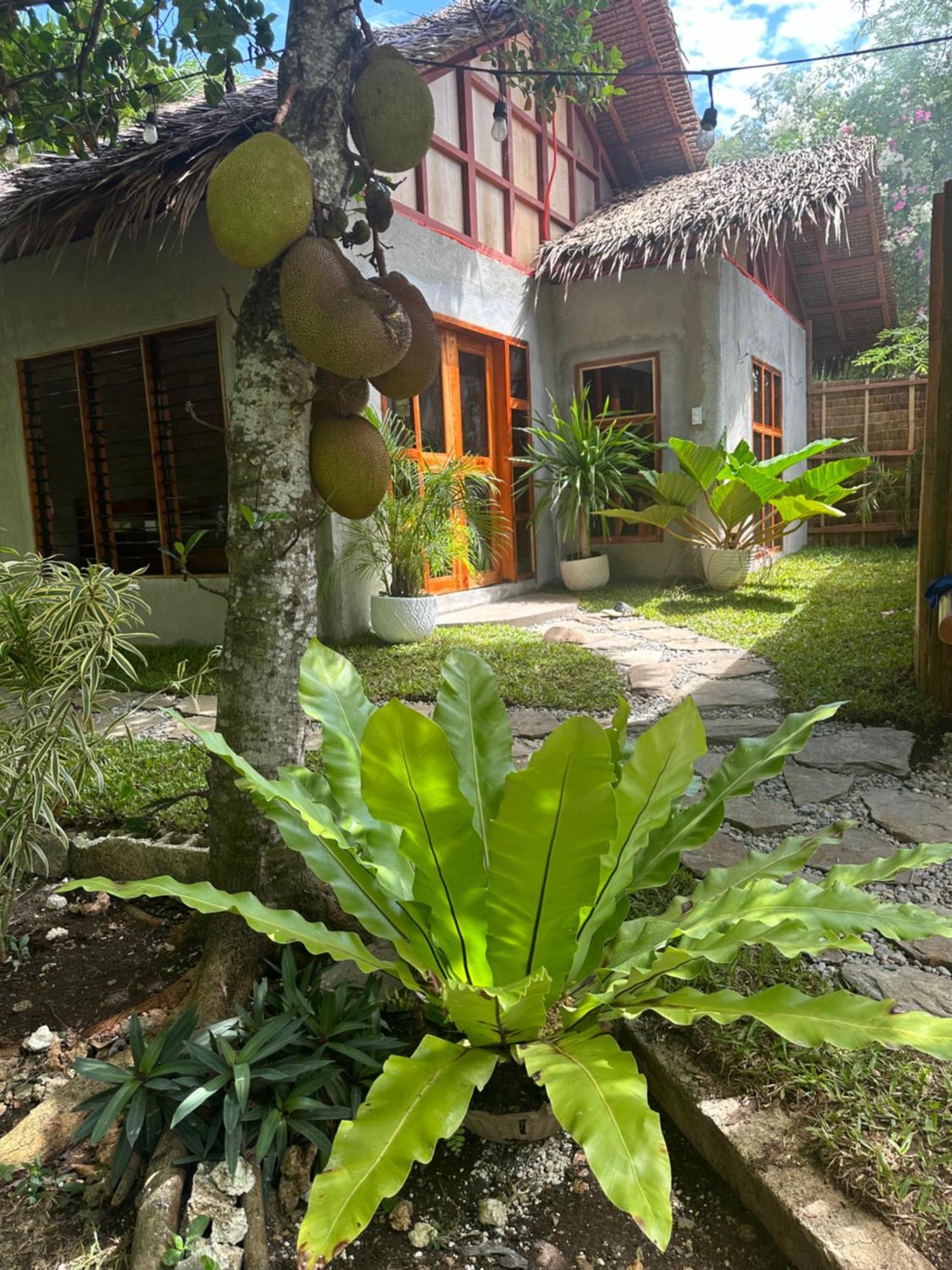 Bohol Island Homestay Dauis Buitenkant foto